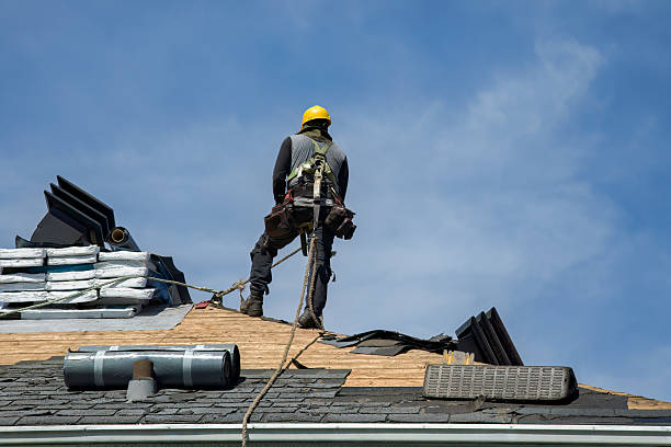 Professional Flat Roof Repair technician working in Evans, CO